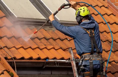 Démoussage et hydrofuge de toiture à Paunat
